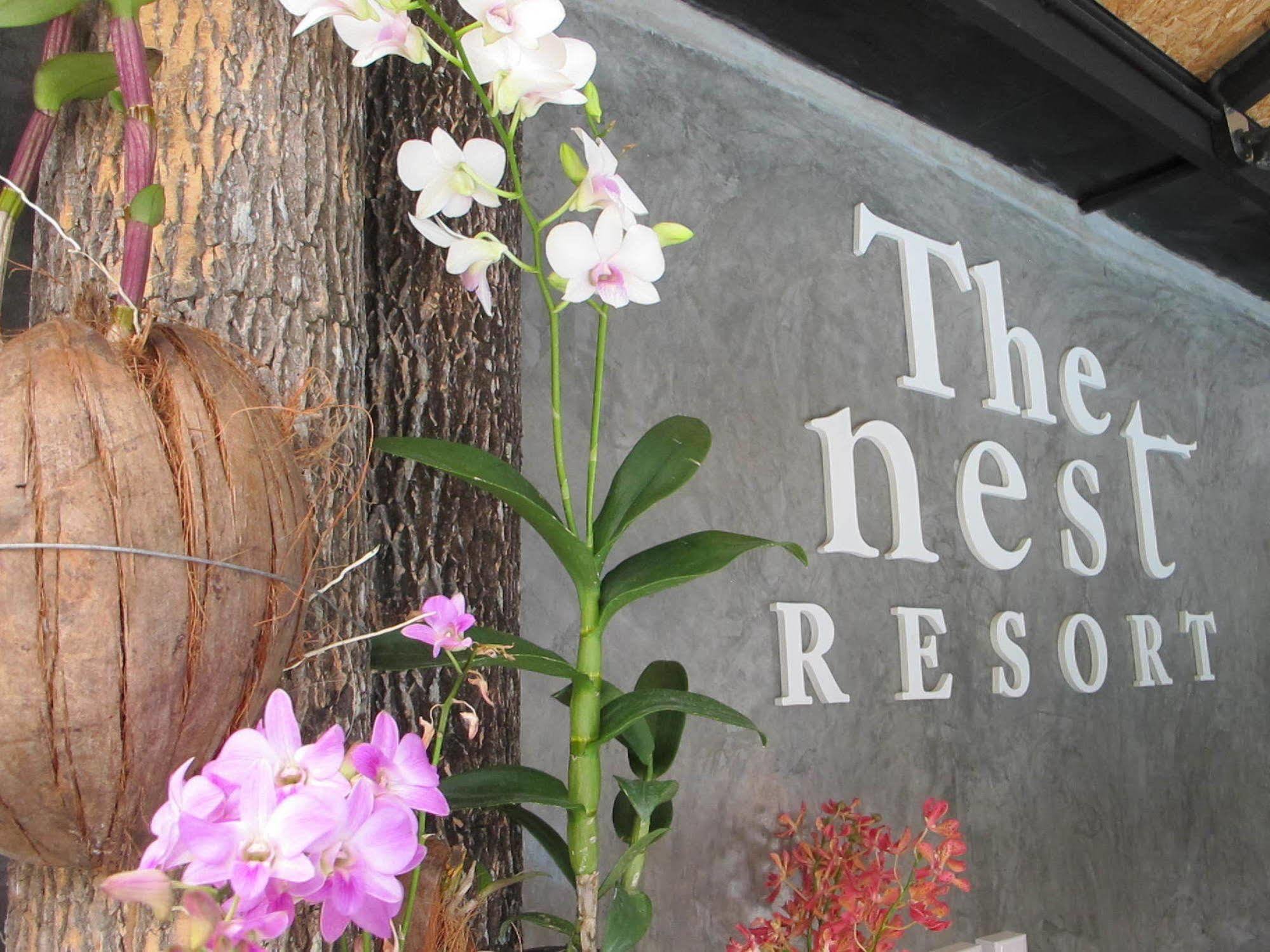 The Nest Resort Patong Exteriör bild